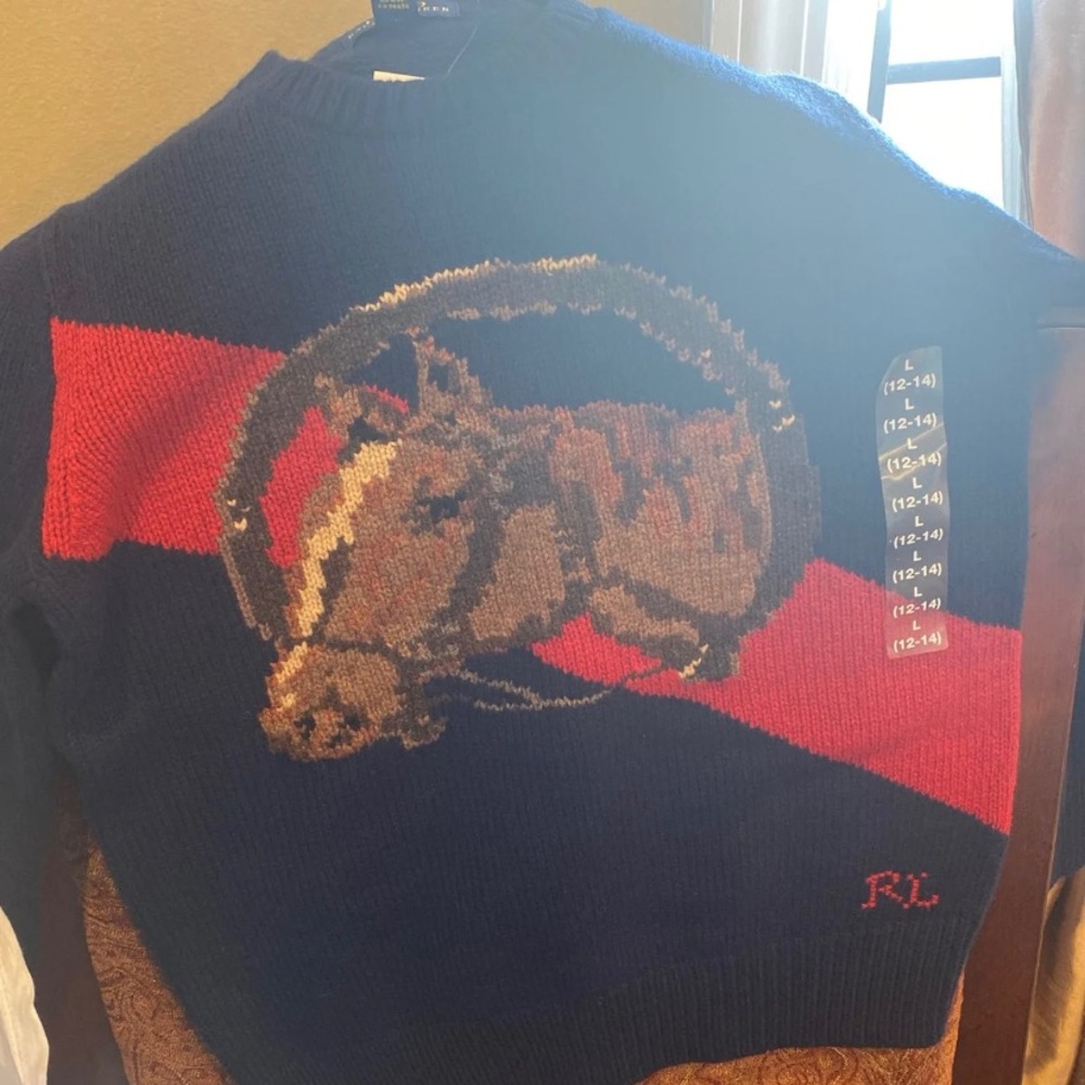 Ralph Lauren polo sweater